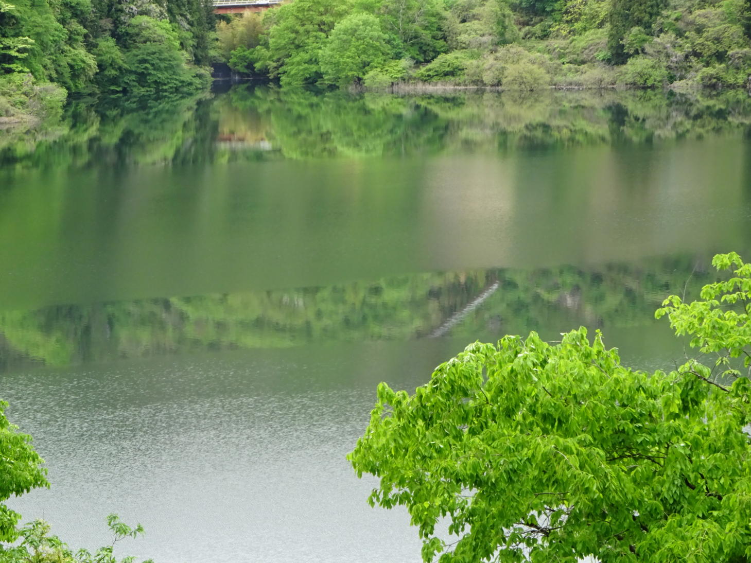養老渓谷