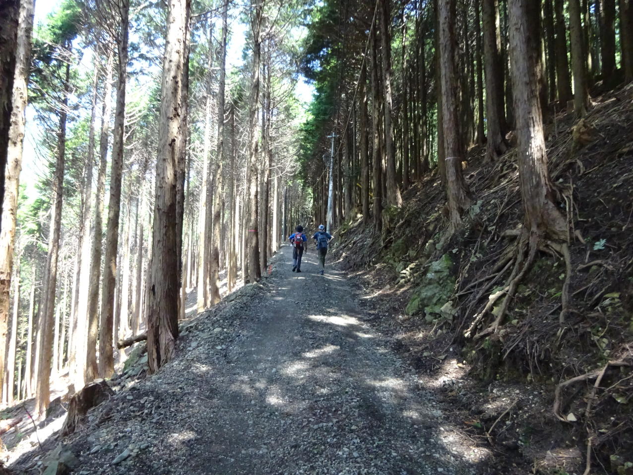 たいら山