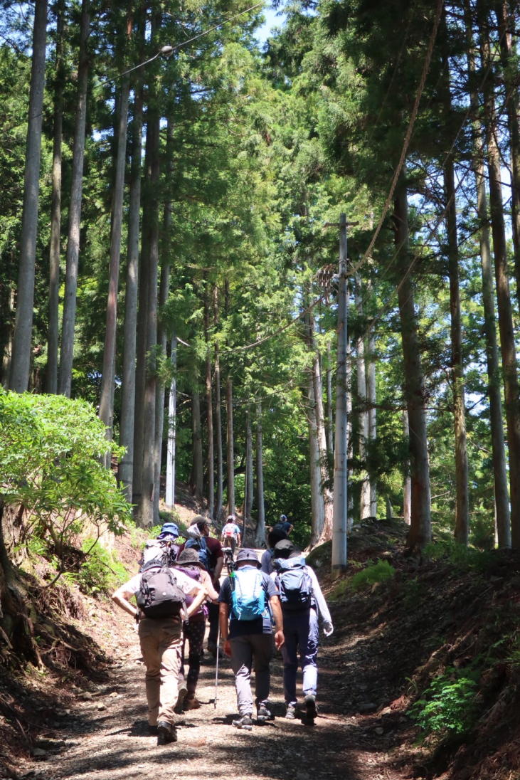 たいら山