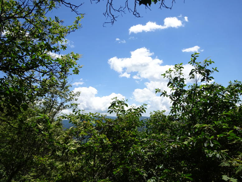 中倉山
