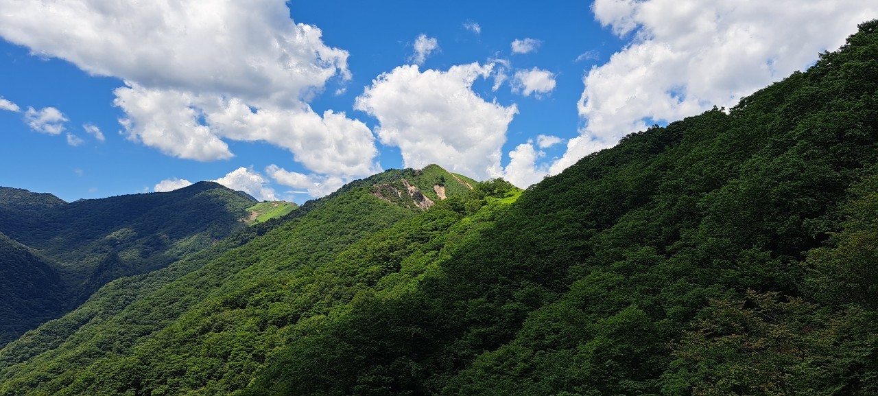 中倉山
