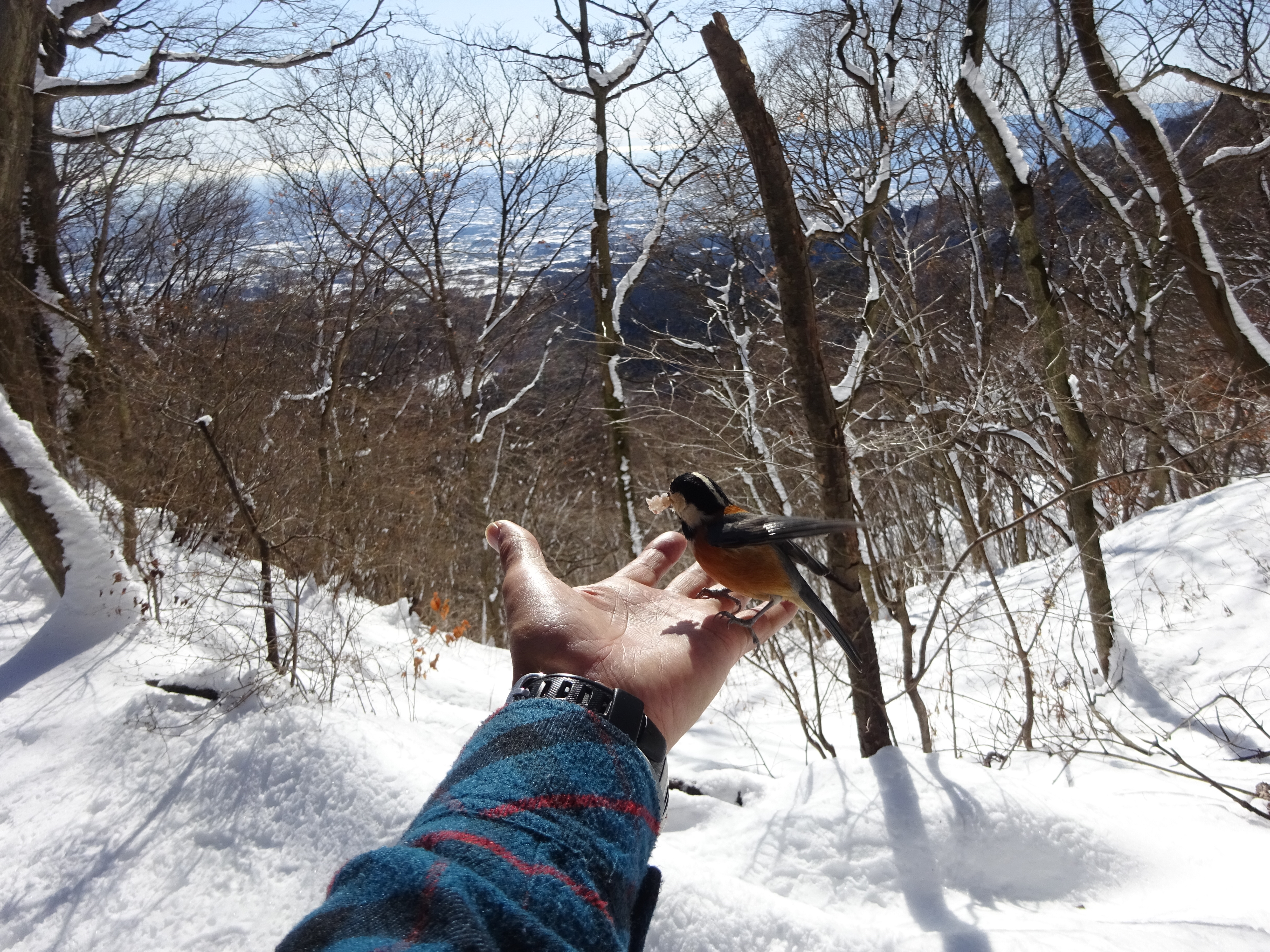 水沢山