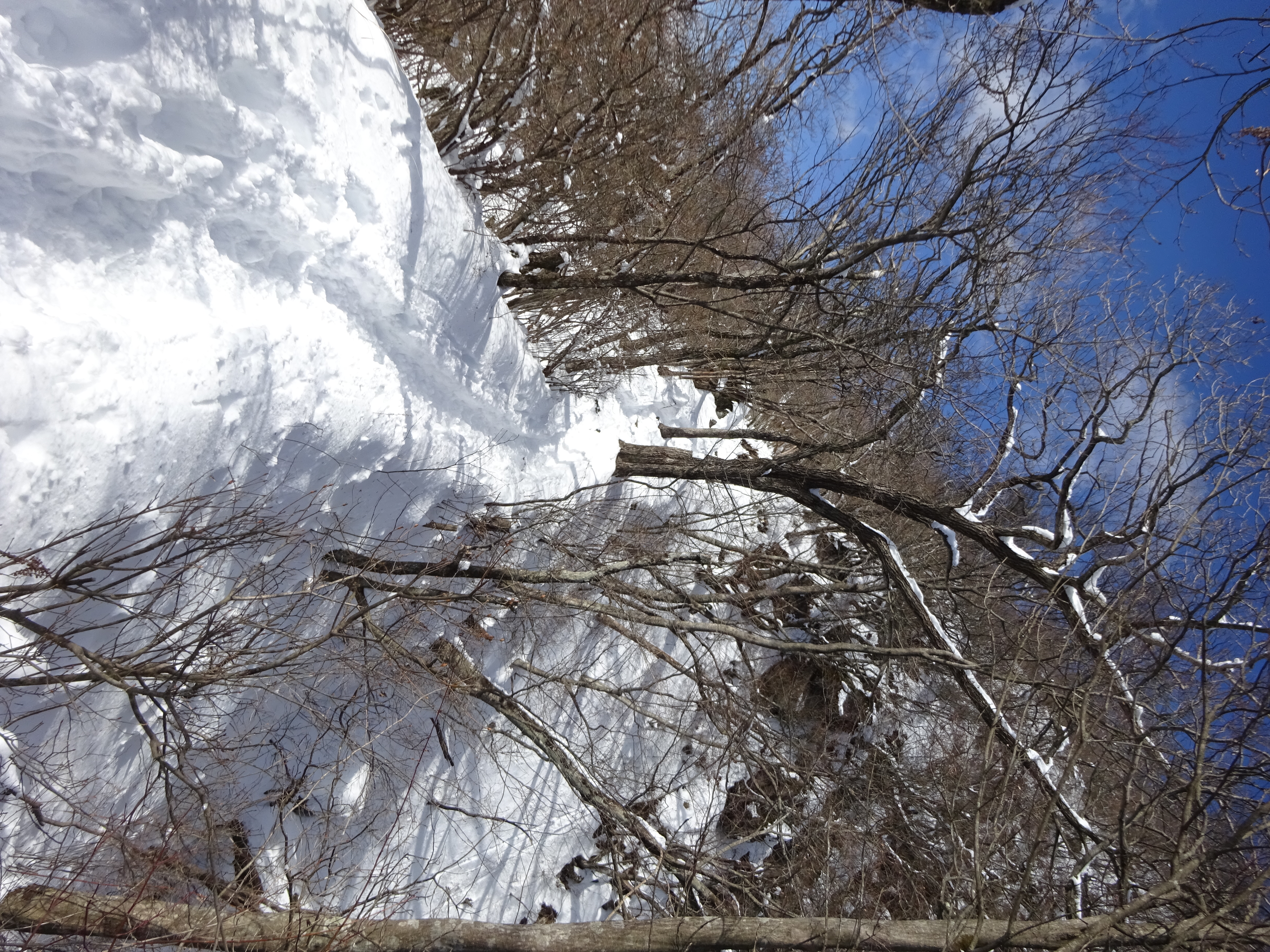 水沢山