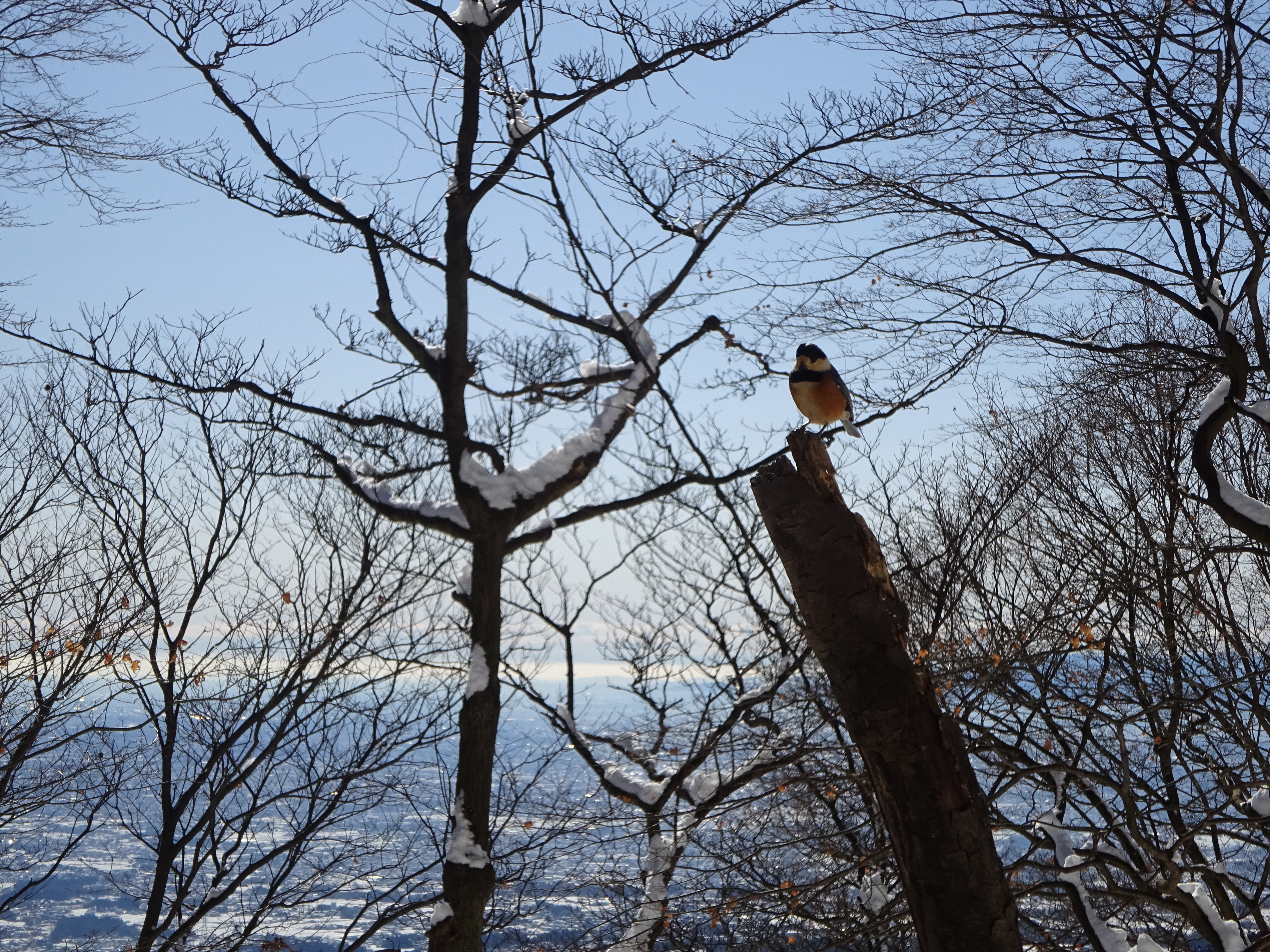 水沢山