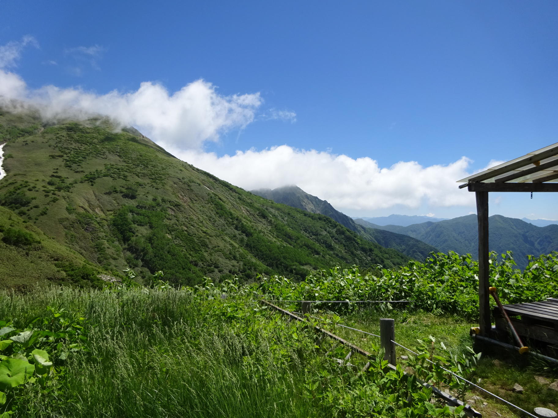 仙ノ倉山