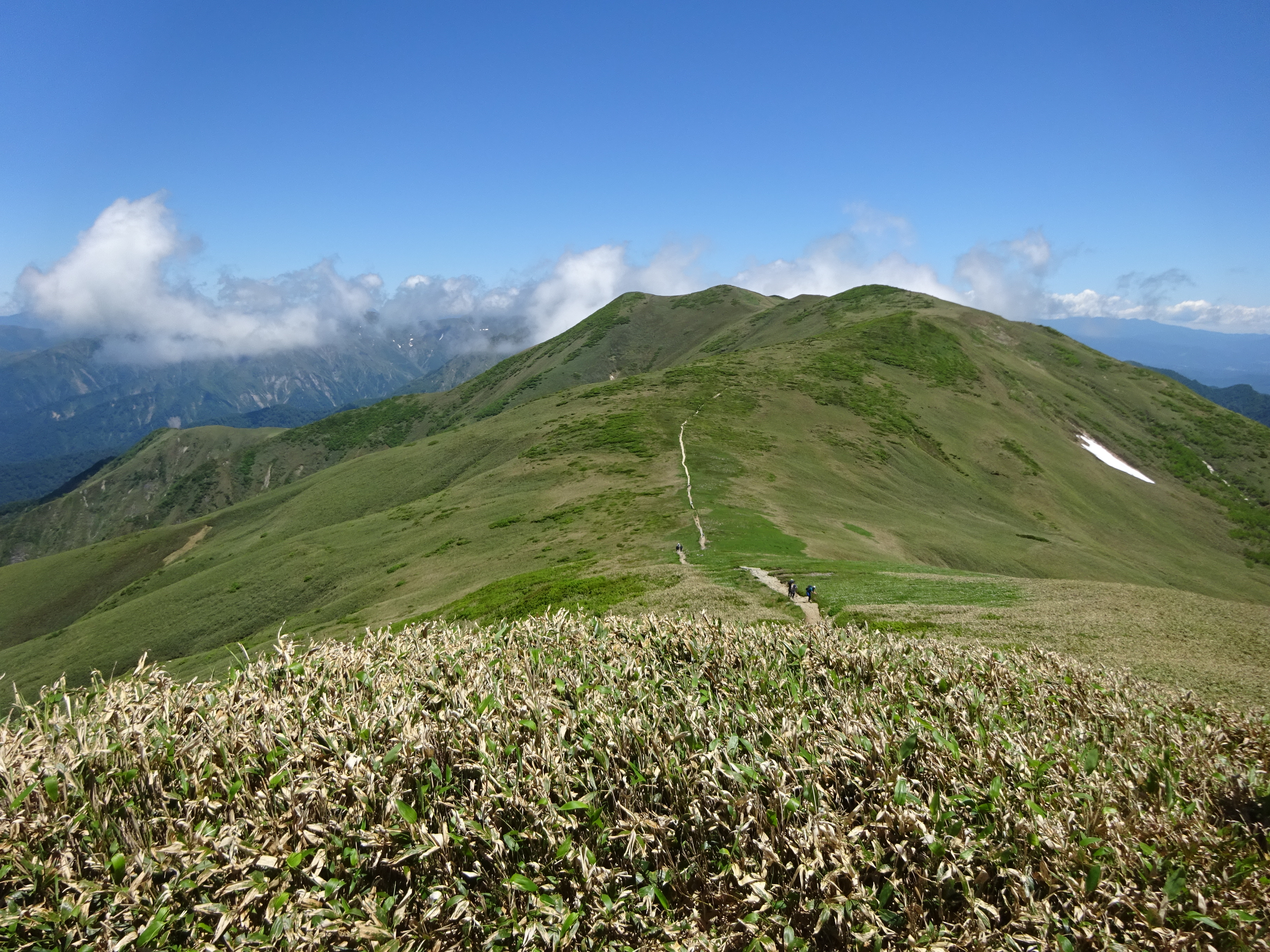仙ノ倉山