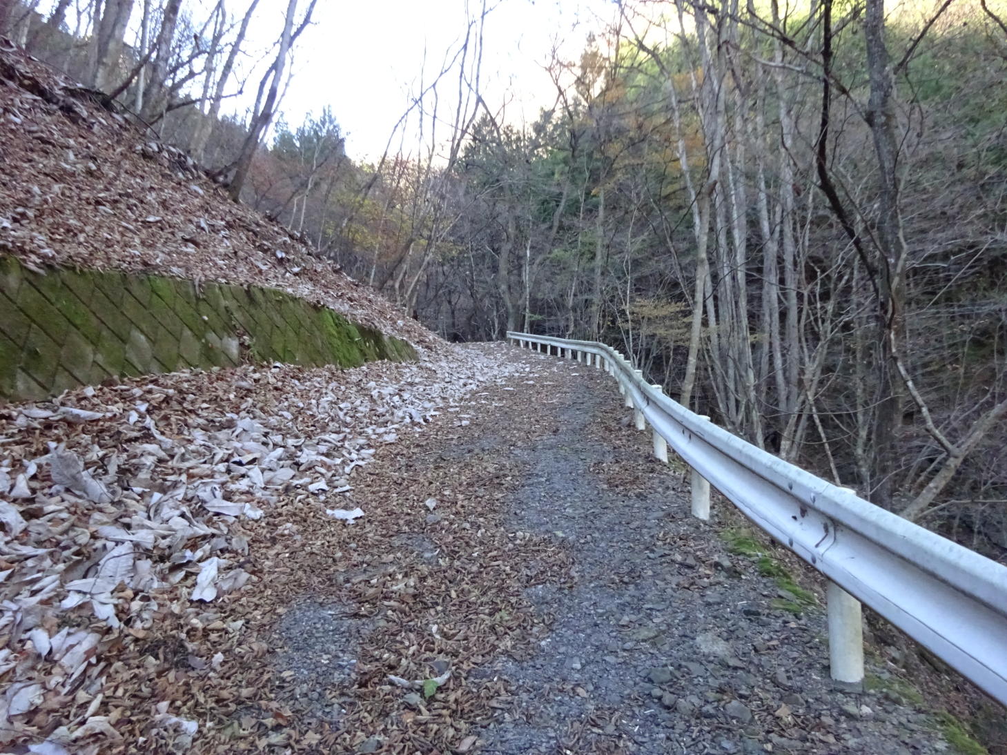 笠丸山