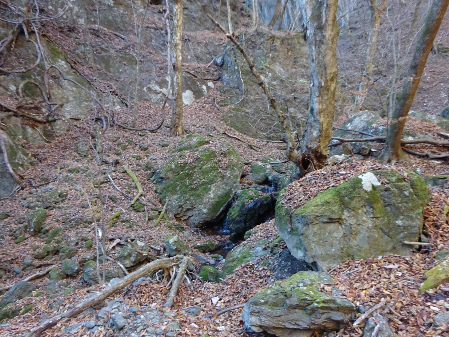 笠丸山