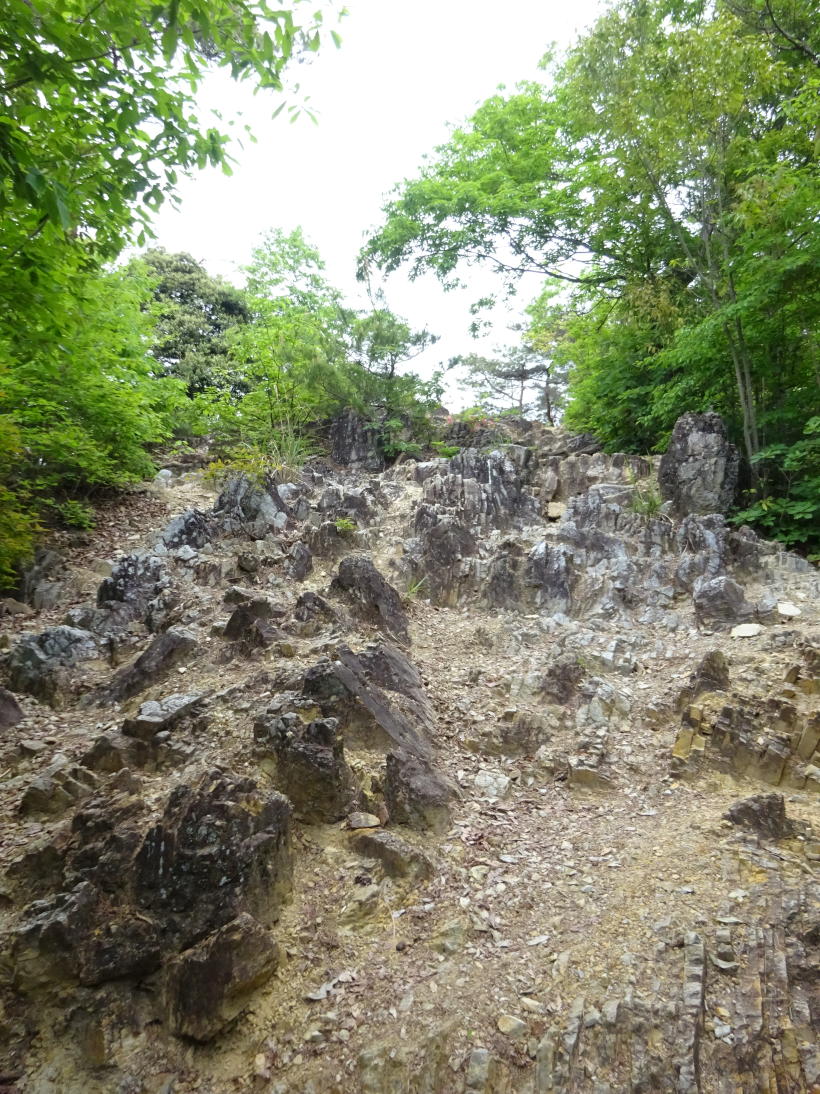 足利アルプス