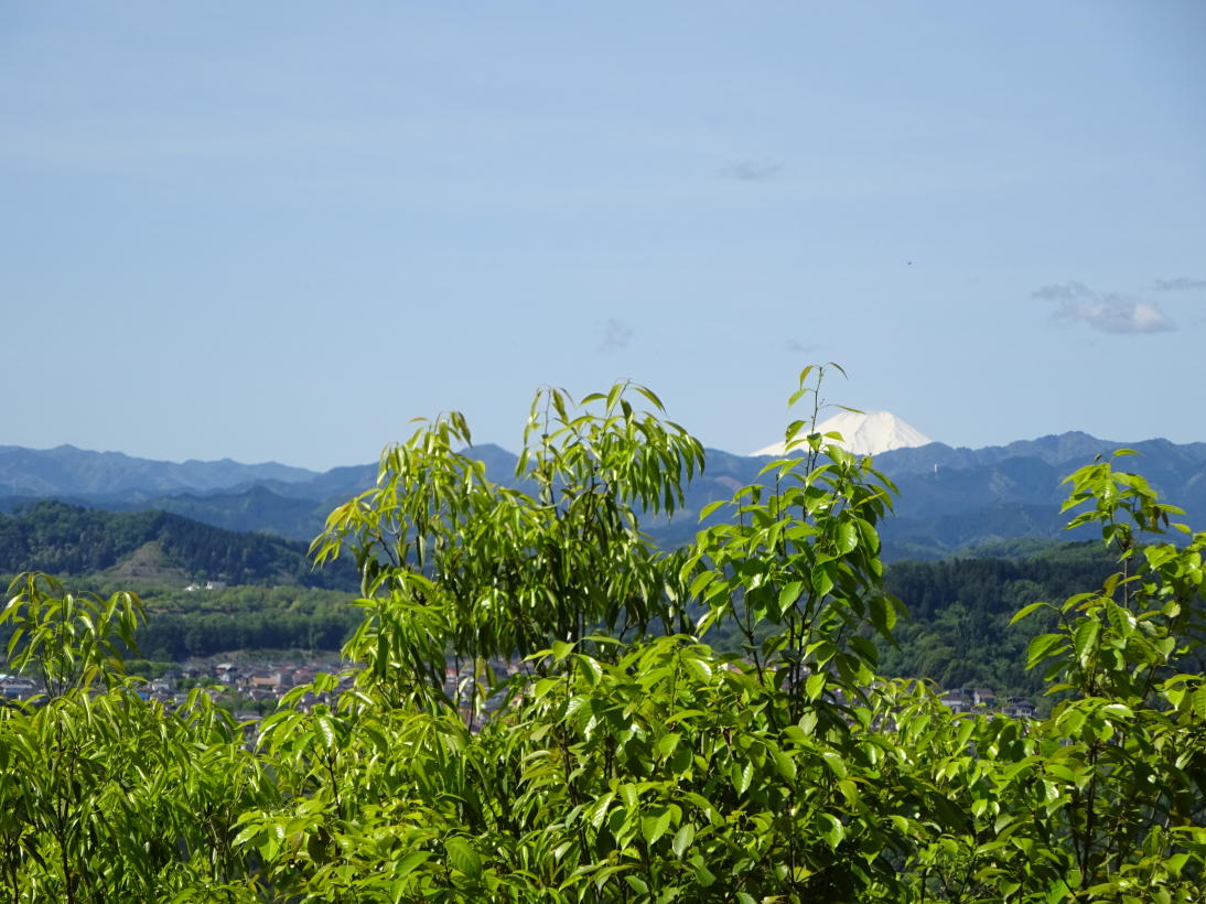 日和田山