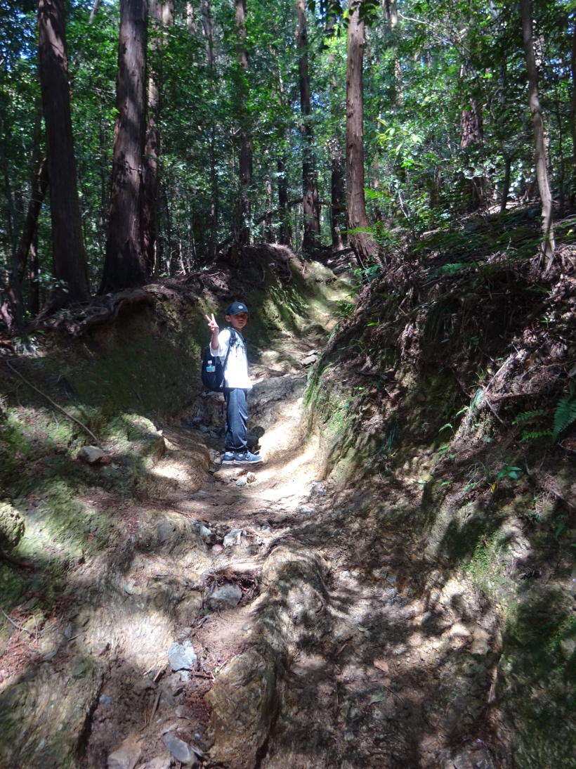 日和田山
