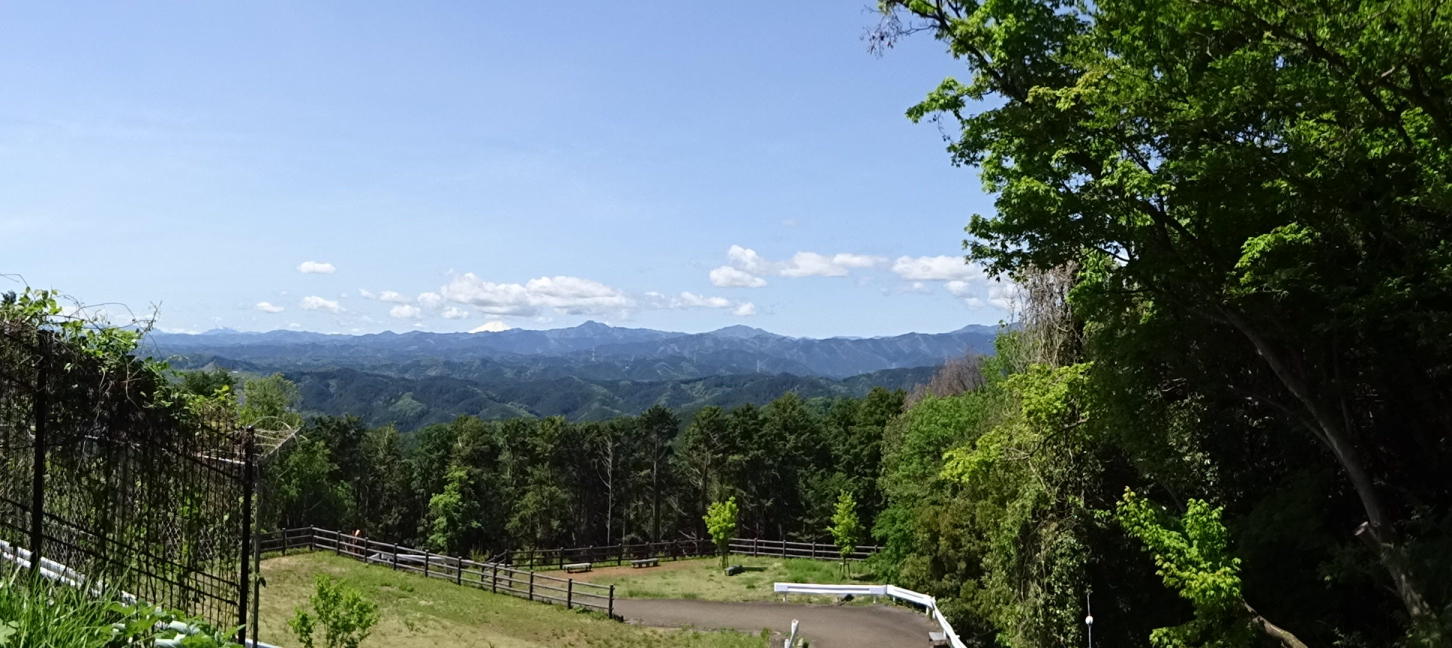 日和田山