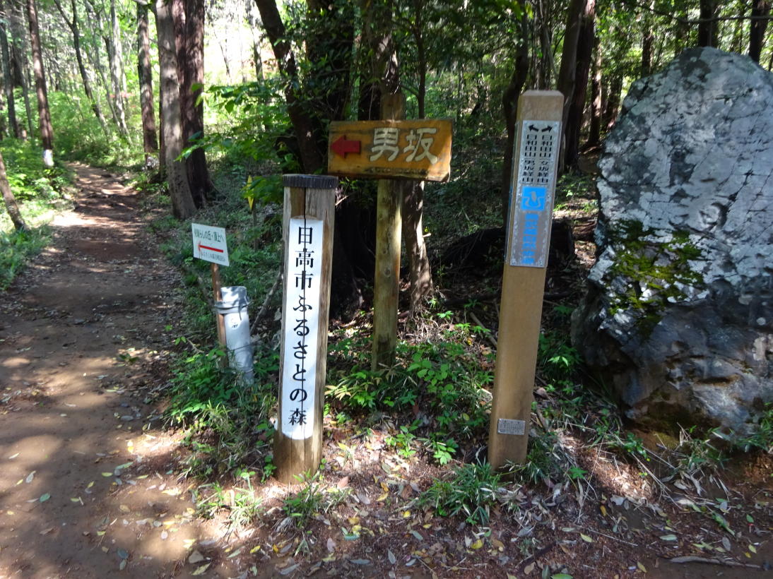 日和田山