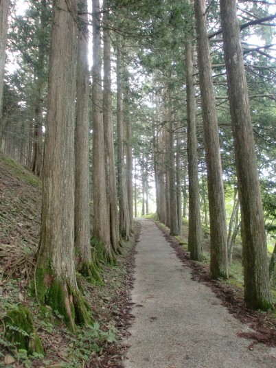 妙法ケ岳