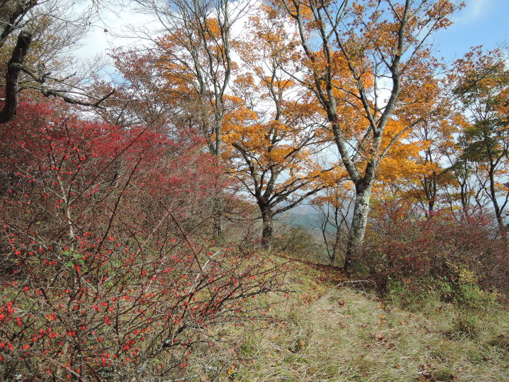 鍋割山