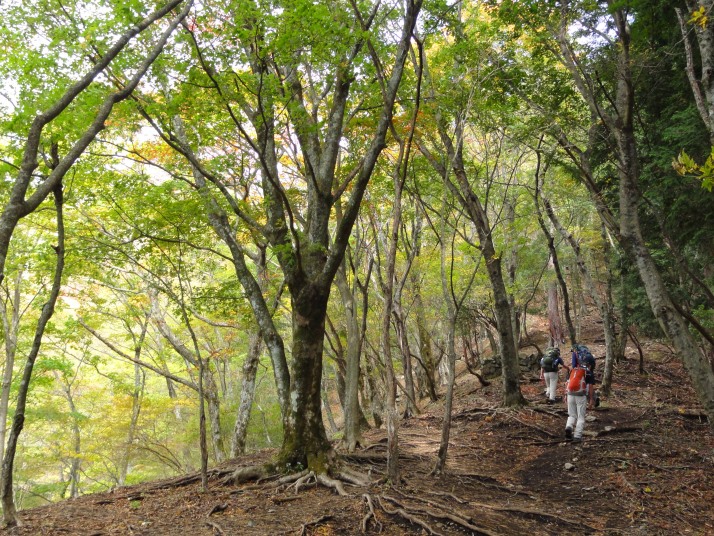 鍋割山