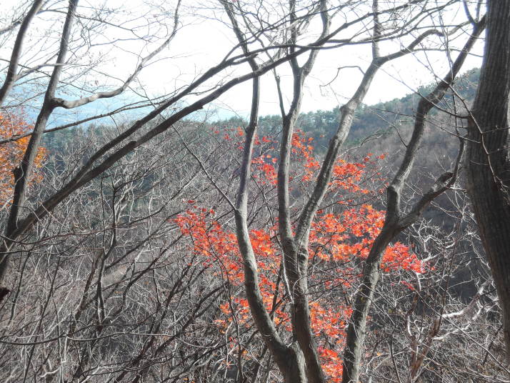 子持山