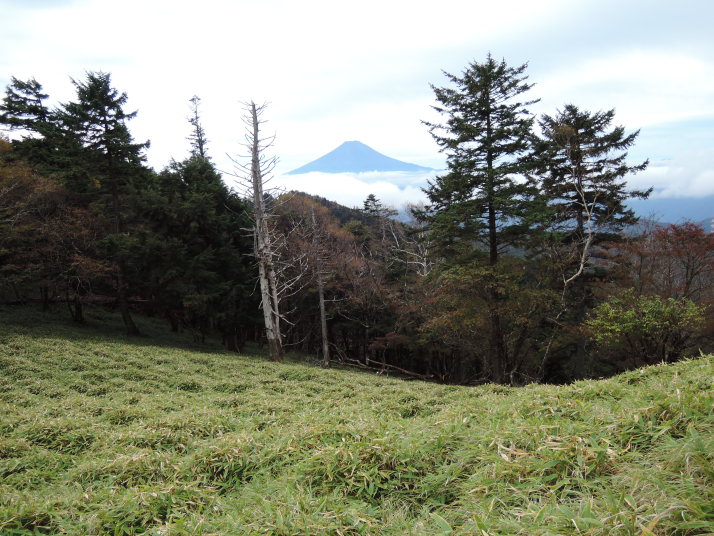 小金山