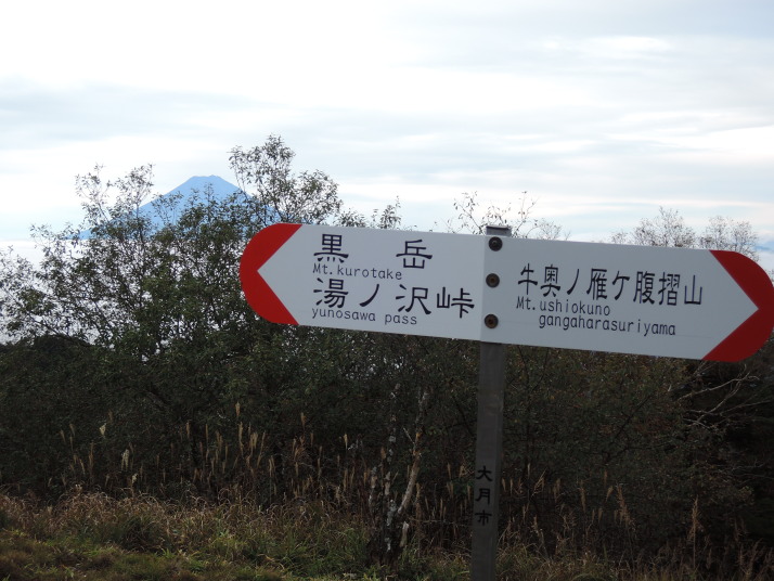 小金山