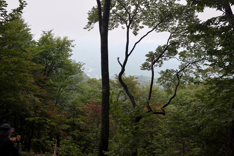 鳴虫山