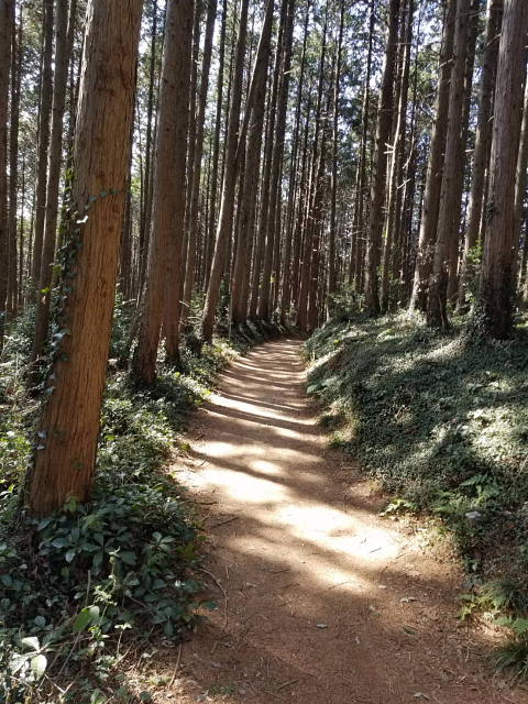 日和田山
