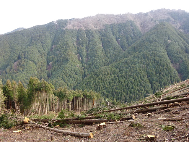 日ノ出山