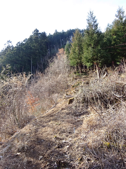 日ノ出山