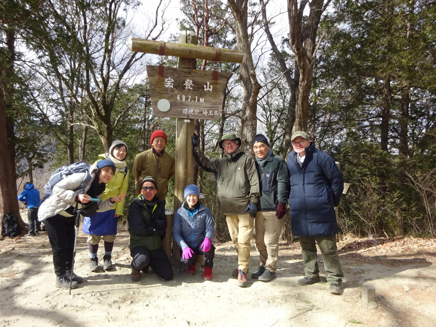 宝登山蝋梅