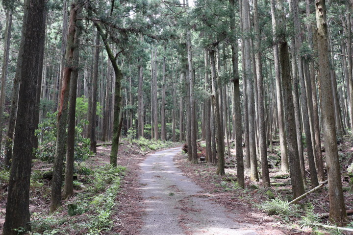 三峰山