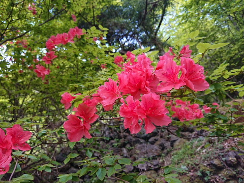 両神山