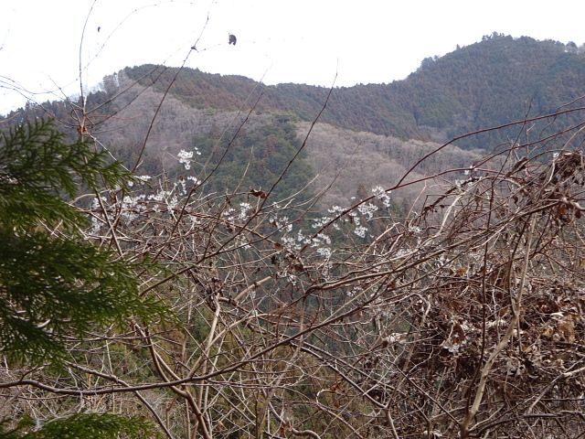 高水三山