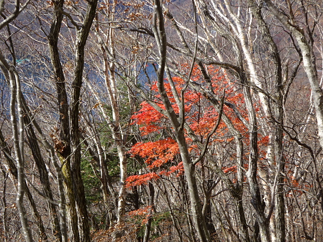 赤城山