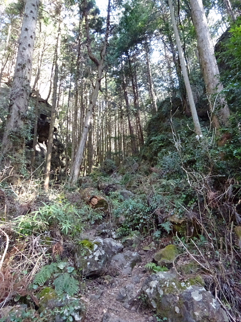 古賀志山