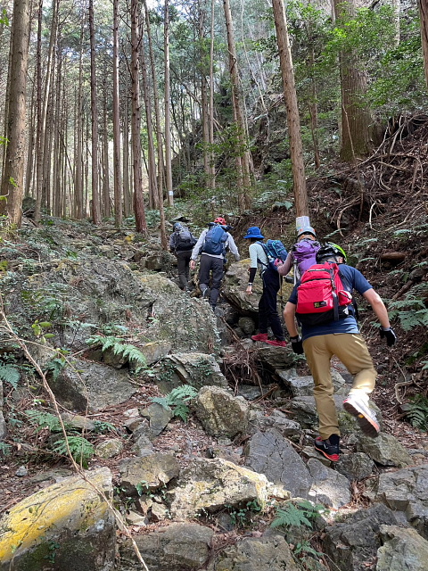 古賀志山