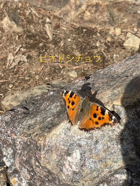 古賀志山