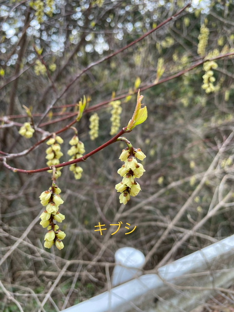 古賀志山