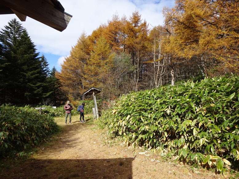 湯の丸山