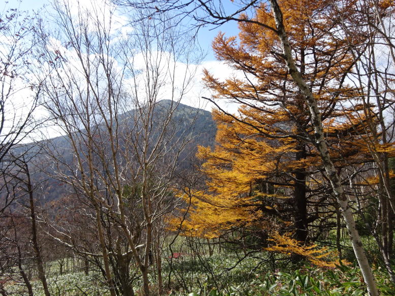 湯の丸山
