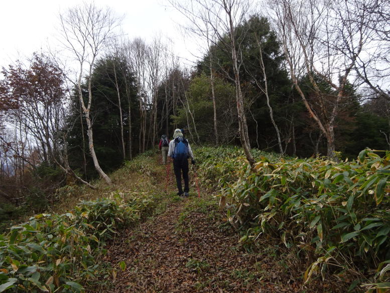 湯の丸山