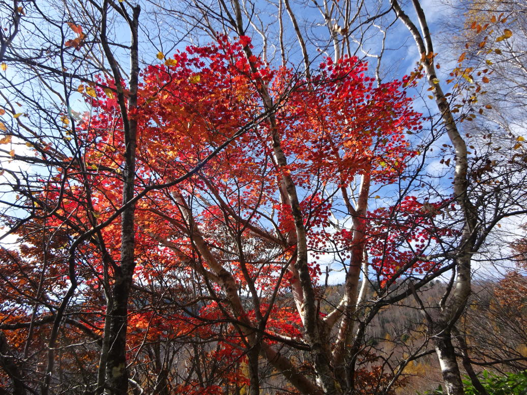 湯の丸山