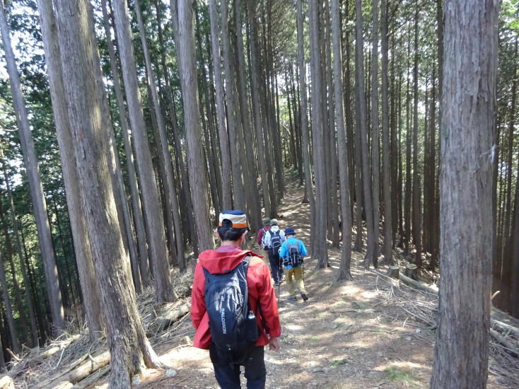 日の出山