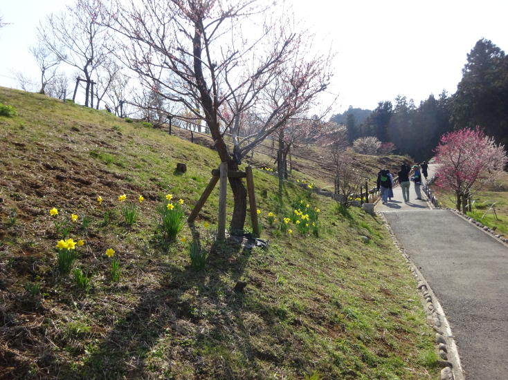日の出山