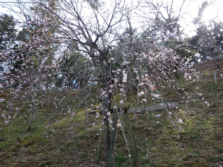 日の出山