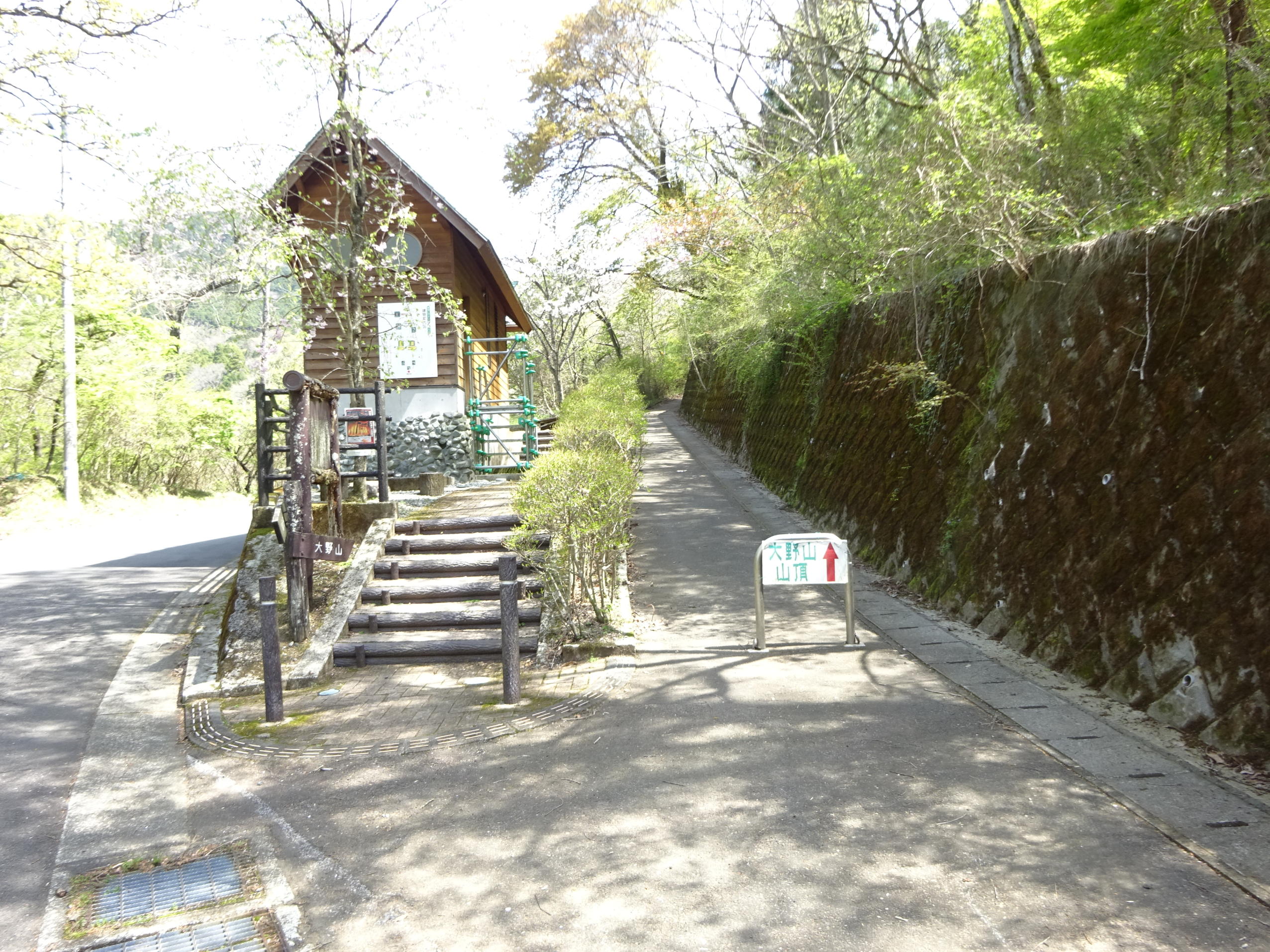 大野山