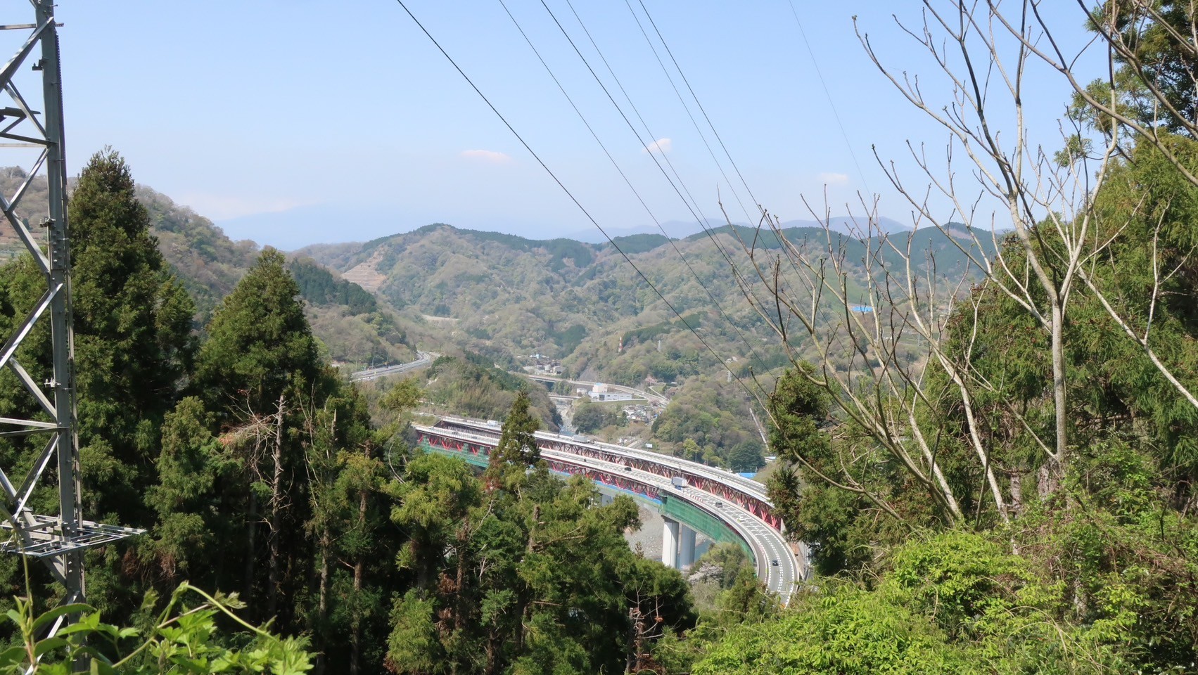 大野山