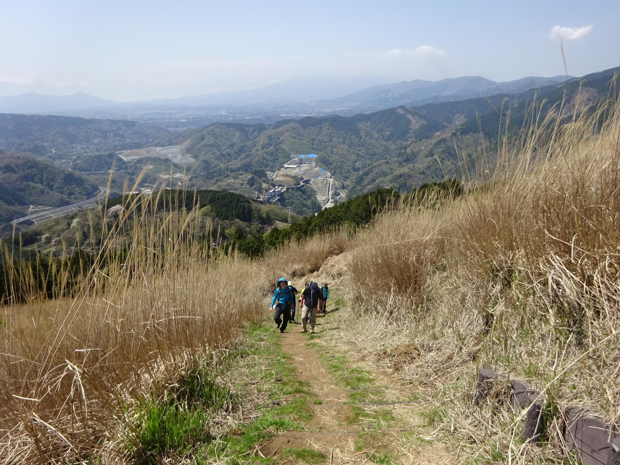大野山