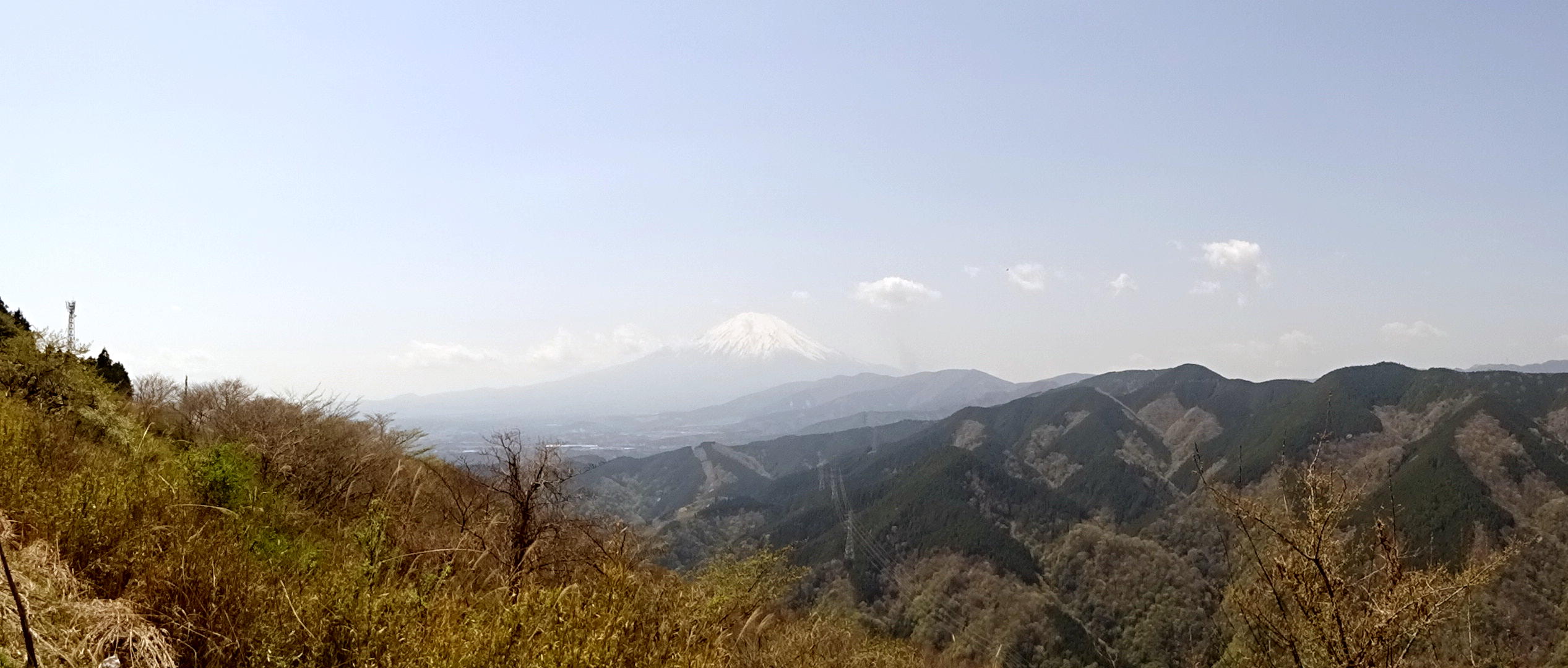 大野山