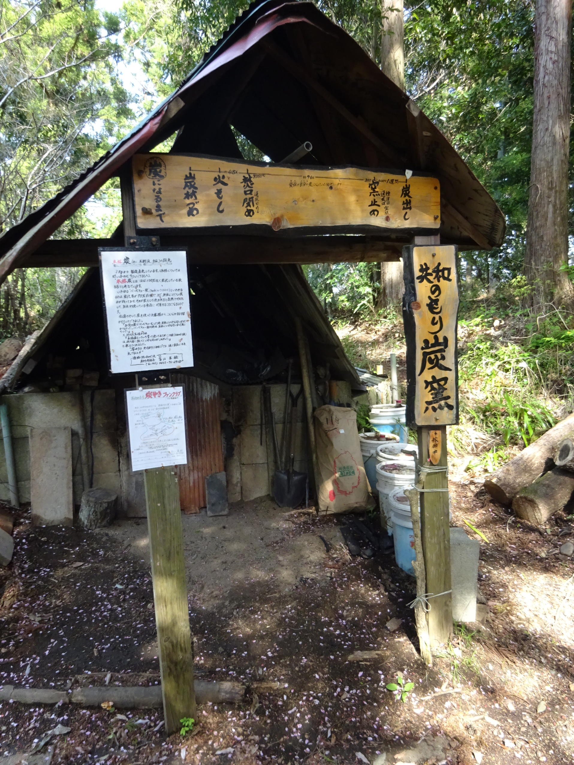 大野山