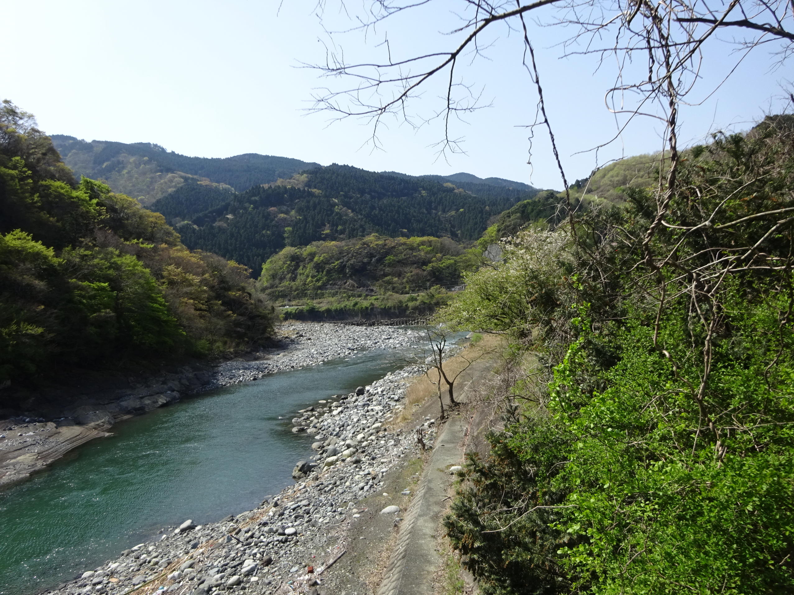 大野山