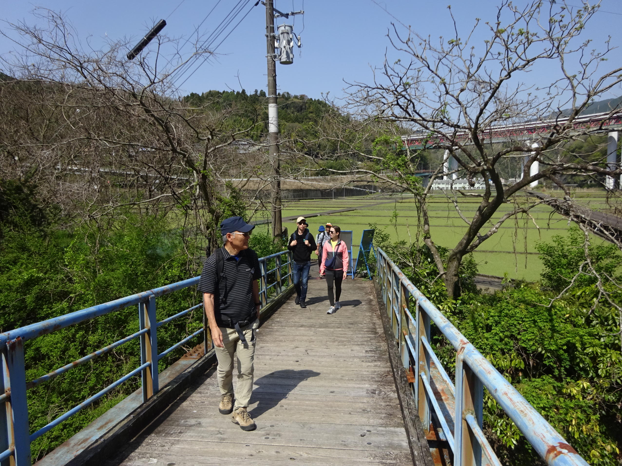 大野山